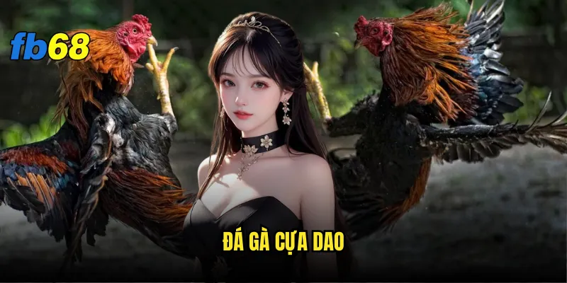 đá gà cựa dao