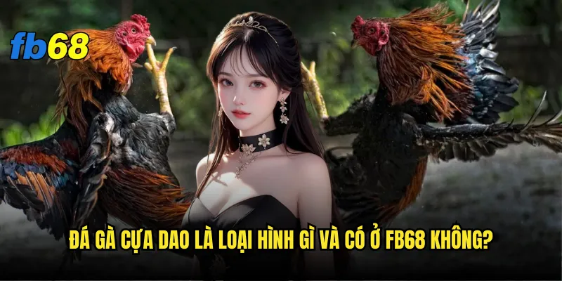 Đá gà cựa dao fb68 nguy hiểm như thế nào? 2 Đá gà cựa dao là loại hình gì và có ở fb68 không?