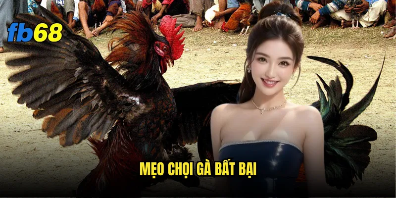 mẹo chọi gà bất bại