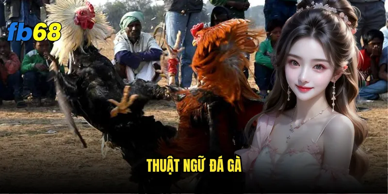 Thuật ngữ đá gà