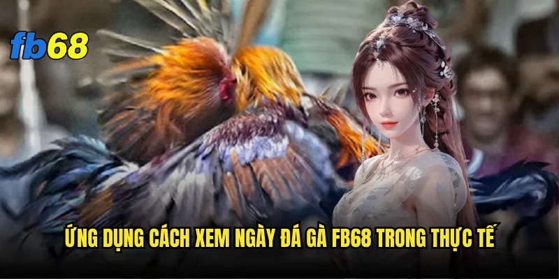 Cách xem ngày đá gà fb68 - Làm sao để chọn ngày may mắn? 3 Ứng dụng cách xem ngày đá gà fb68 trong thực tế